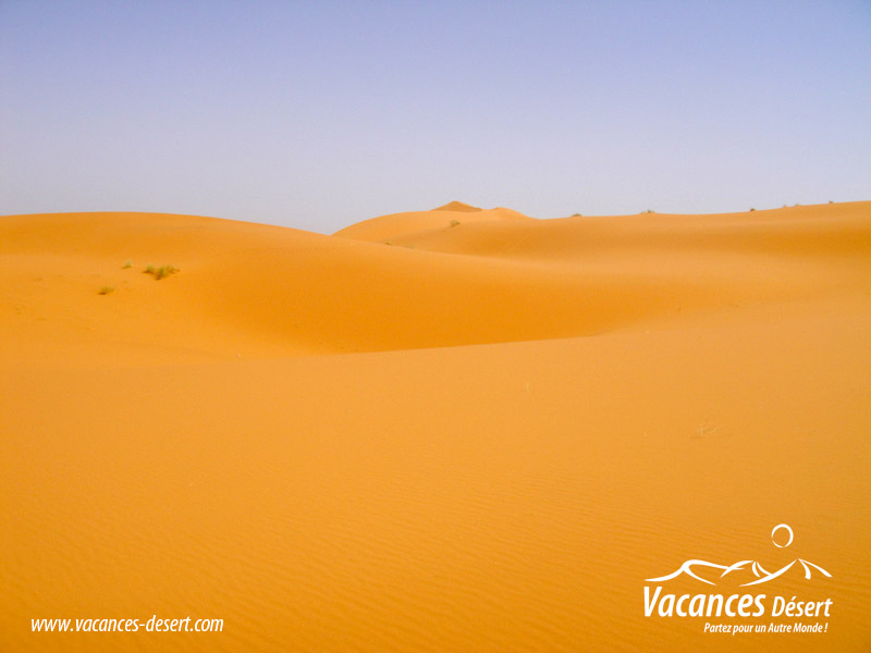 Le Désert Maroc : voyage au cœur des dunes et des émotions